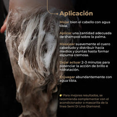 Shampoo Alfaparf Sdl Diamond Iluminación Cabello Normal 1l