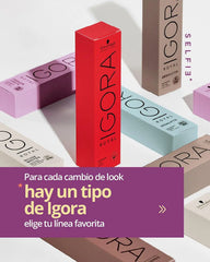 Locion Oxidante 10 Vol. Igora Royal Schwarzkopf 1000ml Sin Tono