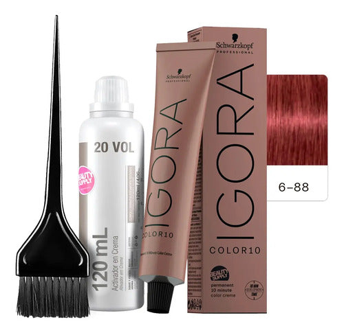 Kit Tinta Igora Color10 Schwarzkopf Con Oxidante Y Pincel