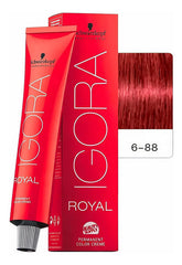 Tinta Igora Royal Schwarzkopf, Todos Los Tonos