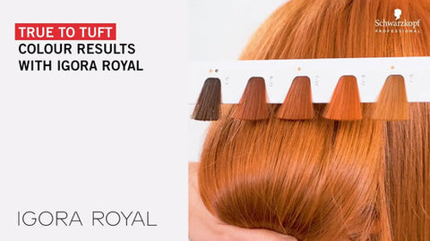 X2 Schwarzkopf Igora Vario Blond Polvo Decolorante 450g Decolorante